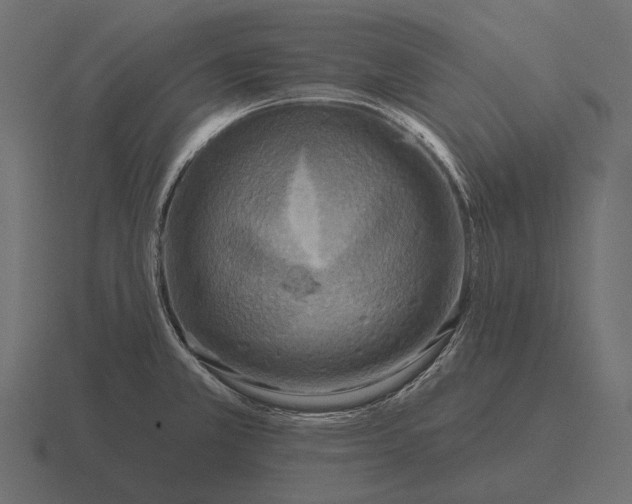 X0000116551381200912241547