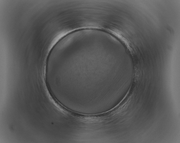 X0000116551383200912241547