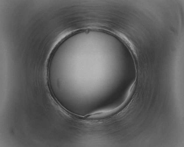 X0000116551384200912241547