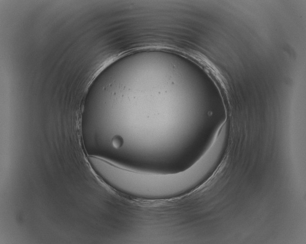 X0000116551385200912241547