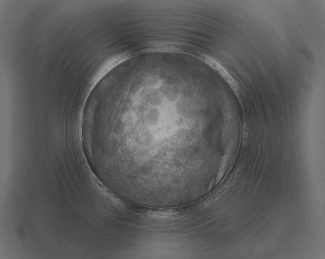 X0000116551386200912241547