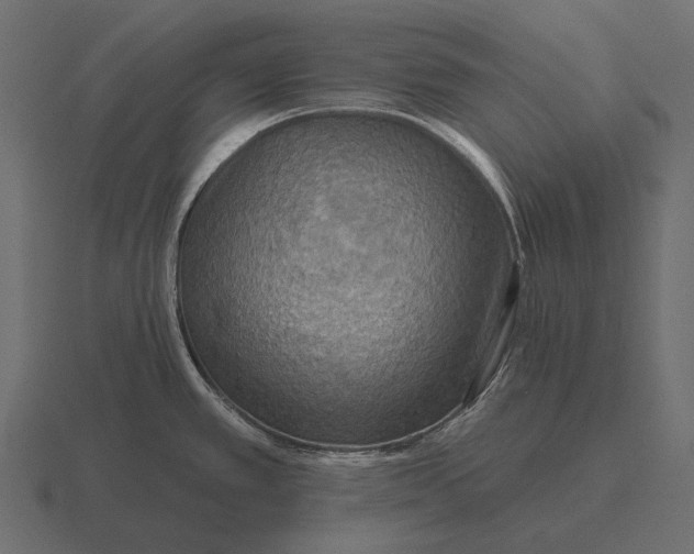 X0000116551389200912241547