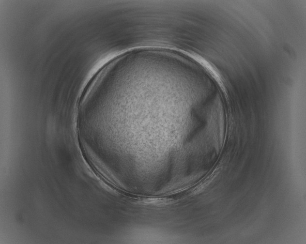 X0000116551390200912241547