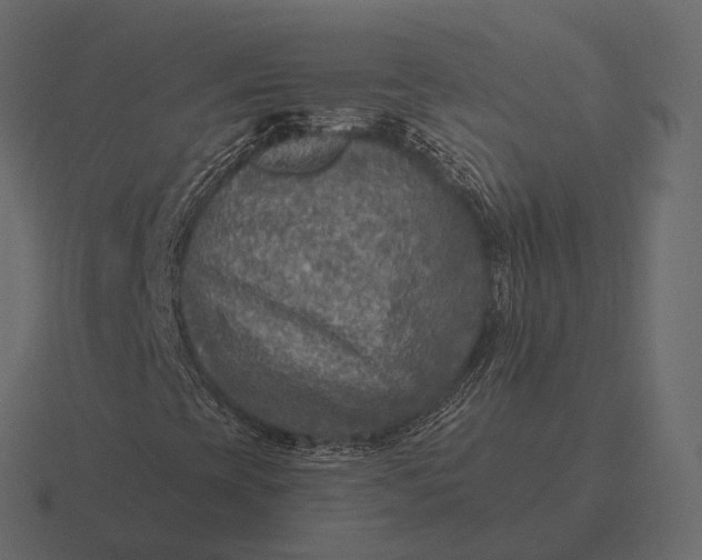 X0000116551393200912241546