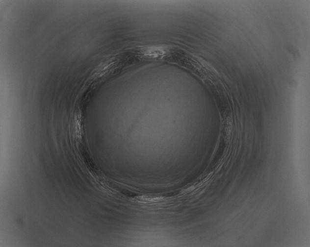 X0000116551394200912241546