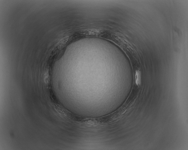 X0000116551395200912241546