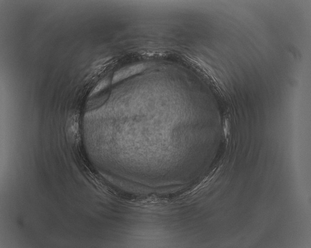 X0000116551396200912241546