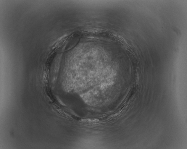 X0000116551397200912241546