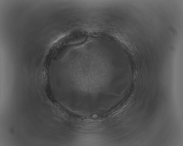 X0000116551398200912241546