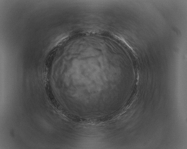 X0000116551399200912241546