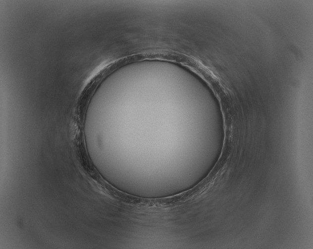 X0000116551400200912241546