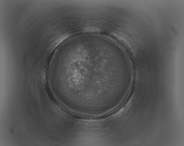 X0000116551401200912241546