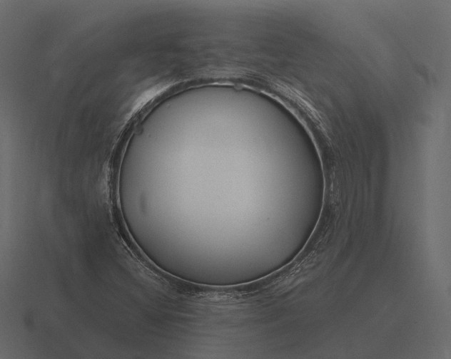 X0000116551404200912241546