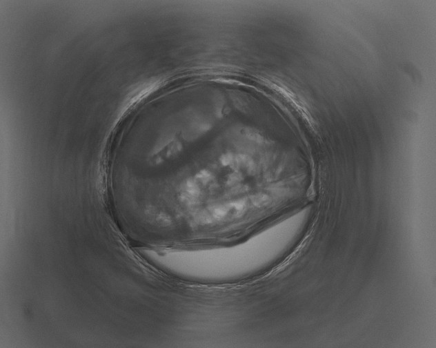 X0000116551405200912241546