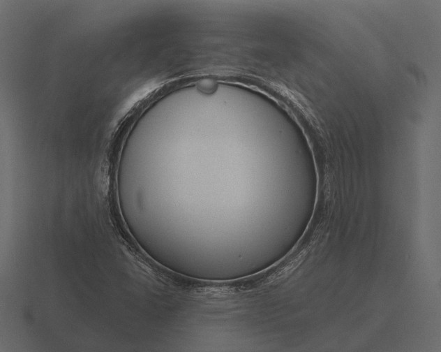 X0000116551406200912241546