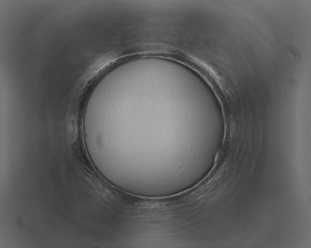 X0000116551407200912241546