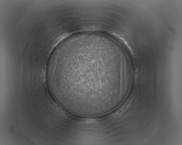 X0000116551409200912241546