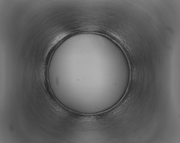 X0000116551410200912241546