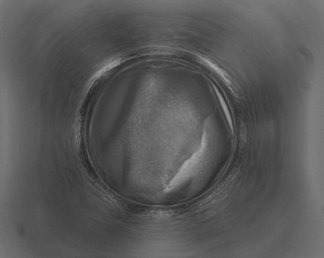 X0000116551411200912241546