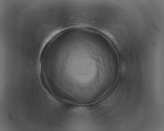 X0000116551414200912241546