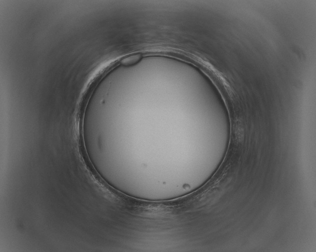 X0000116551416200912241546