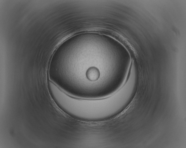 X0000116551417200912241546