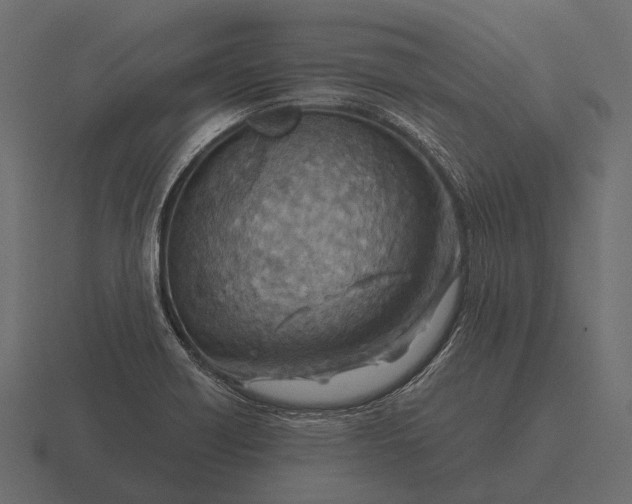 X0000116551418200912241546