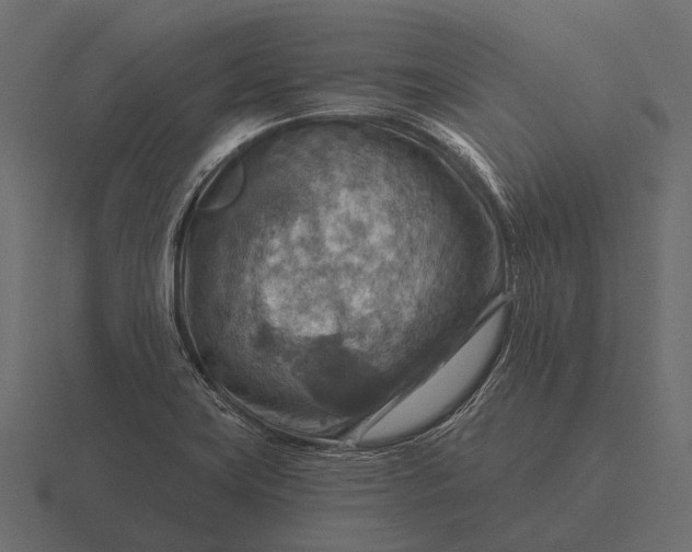 X0000116551419200912241546