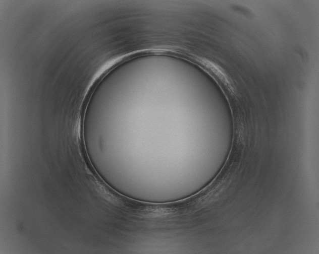 X0000116551420200912241546