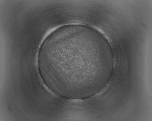 X0000116551421200912241546