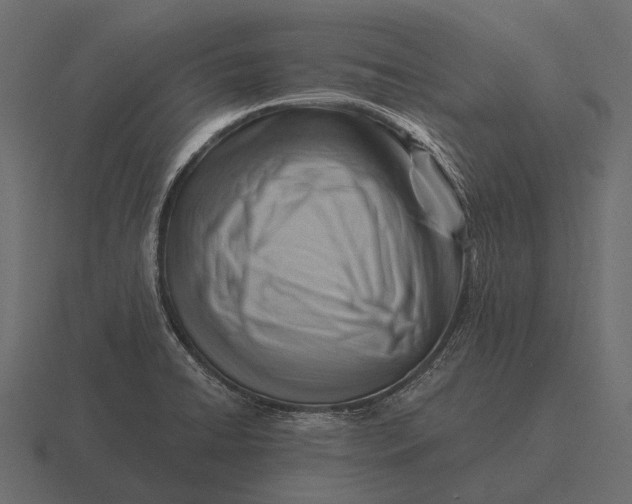 X0000116551422200912241546