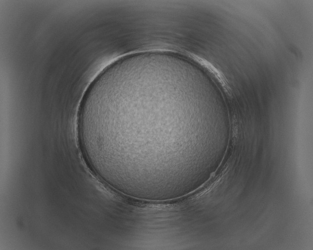 X0000116551423200912241546