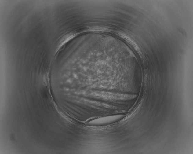 X0000116551425200912241546