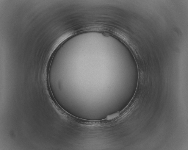 X0000116551426200912241546