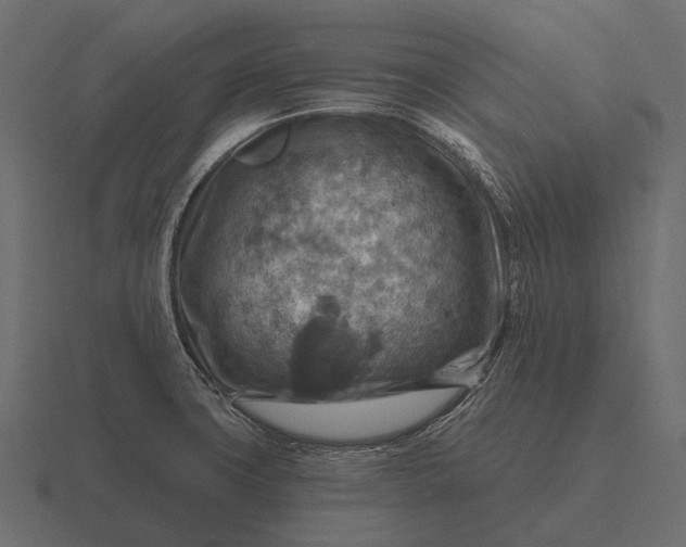 X0000116551427200912241547