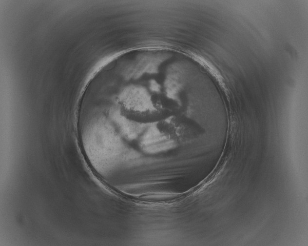 X0000116551429200912241547