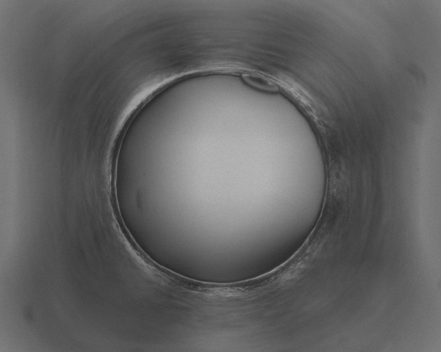 X0000116551430200912241547