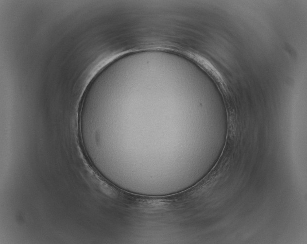 X0000116551431200912241547