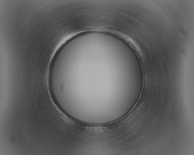 X0000116551432200912241547