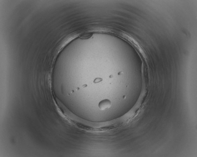 X0000116551433200912241547