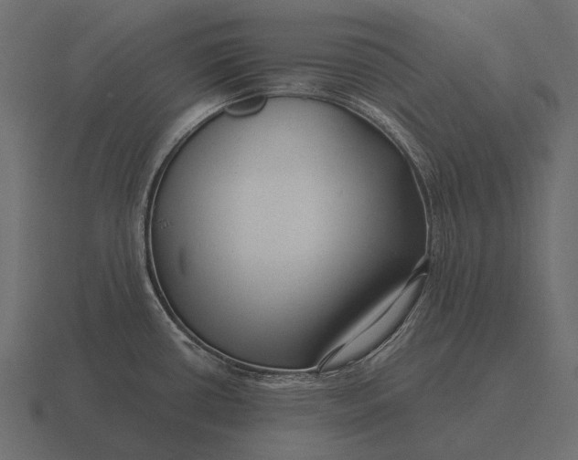 X0000116551434200912241547