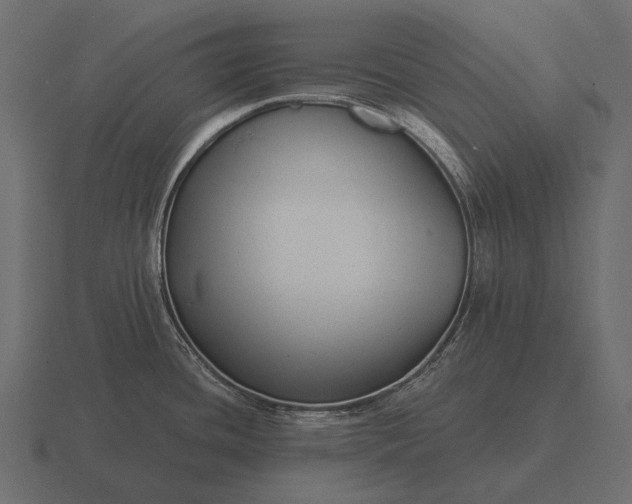 X0000116551436200912241547