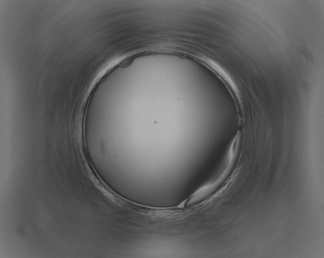 X0000116551437200912241547