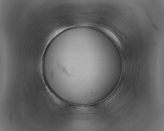 X0000116551439200912241547