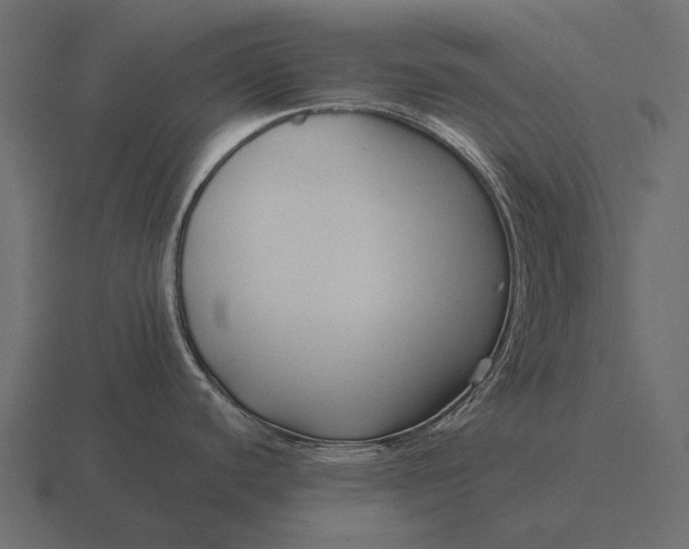 X0000116551440200912241547