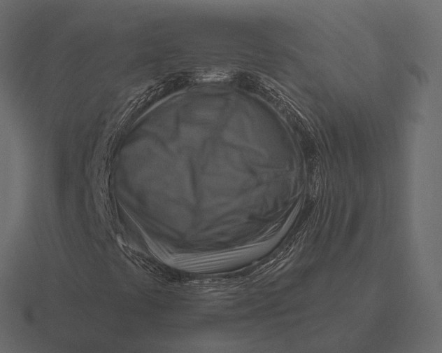 X0000116551441200912241546