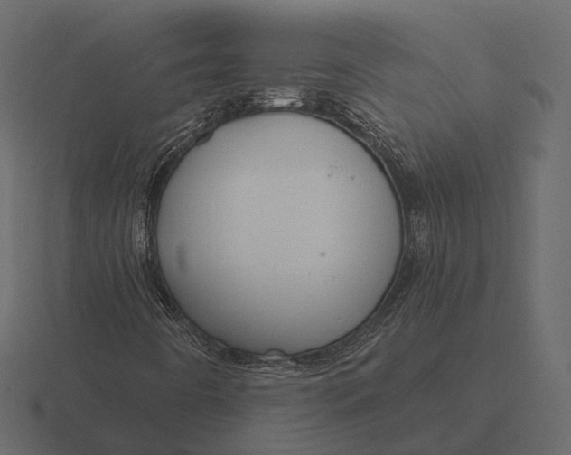 X0000116551442200912241546