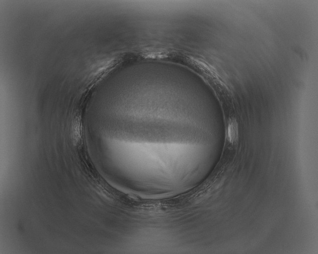 X0000116551444200912241546