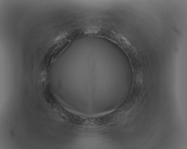 X0000116551445200912241546