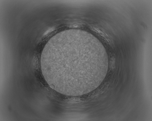 X0000116551446200912241546